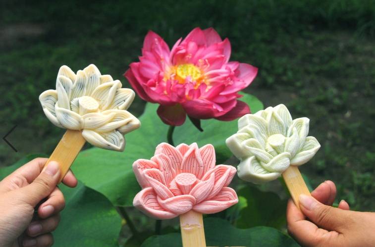 圆明园荷花雪糕