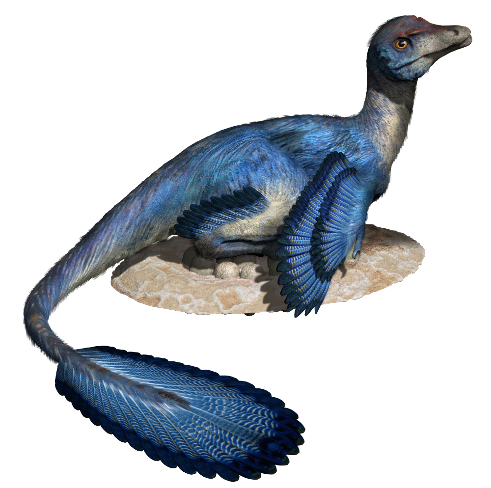 1亿年前恐龙留下一串脚印,科学家测出了它的时速