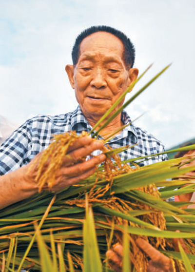 人民日报刊文追记袁隆平 一稻济世 万家粮足