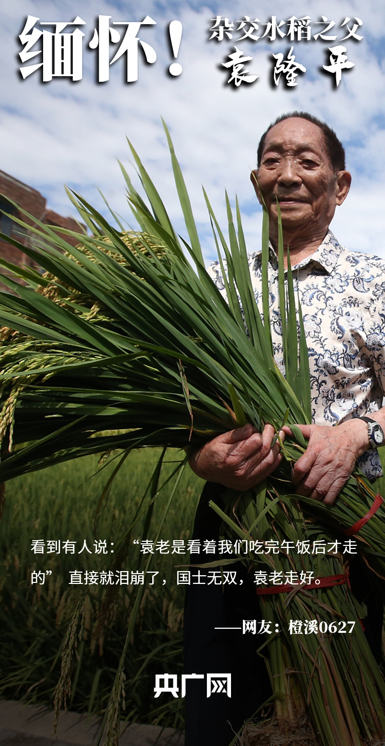 袁隆平一生介绍 个人图片