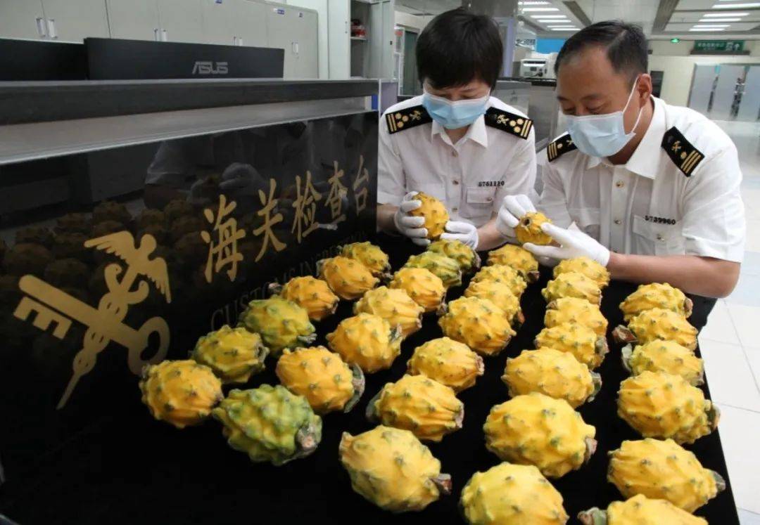 邮寄进境的物品,擅自携带未经检疫合格的水果入境,可能造成有害生物