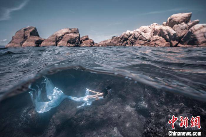 与海底生物伴游的新职业——"美人鱼"在中国悄然兴起