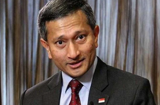 新加坡外长维文