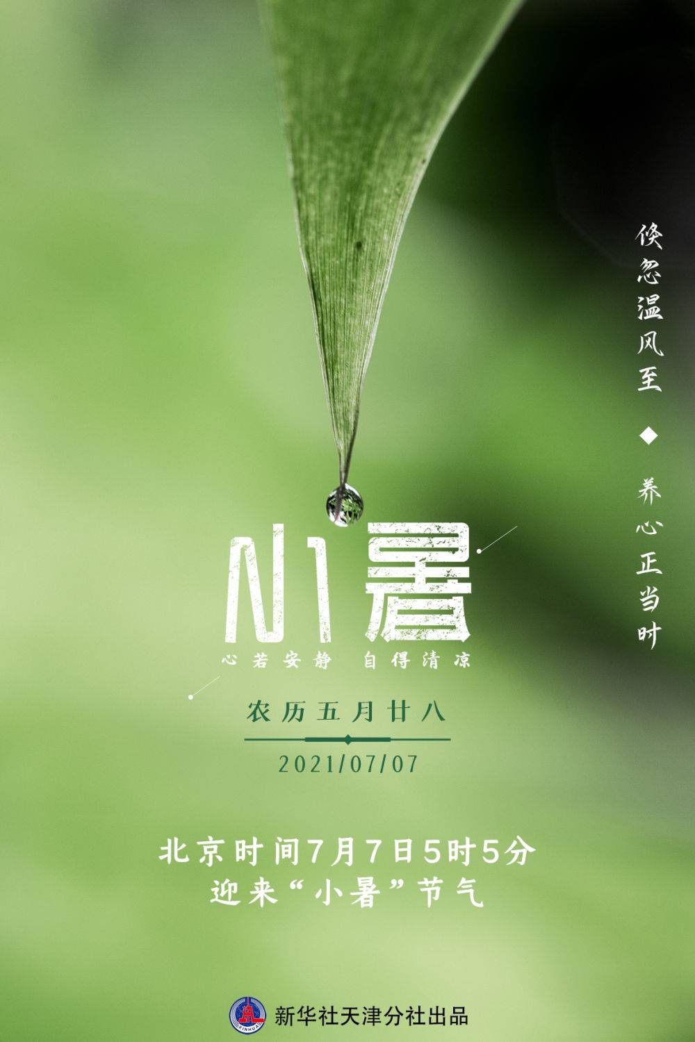 7日小暑:"三伏"启幕