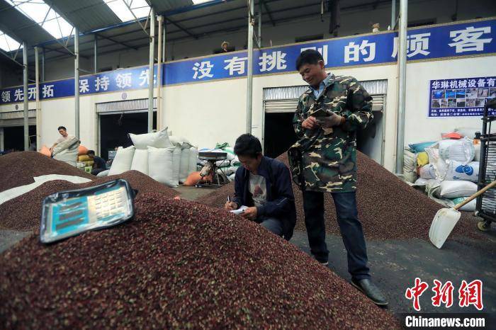 热闹的花椒交易市场. 王磊 摄