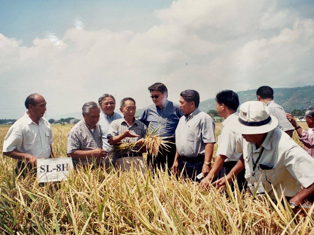 2003年4月,袁隆平在菲律宾内湖省考察交流杂交水稻种植情况(翻拍资料