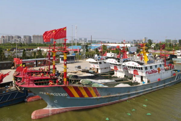 赣榆最大的海鲜码头图片