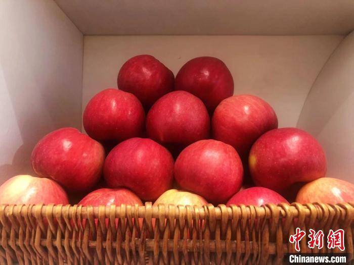 运城地处北纬37度,位于世界公认的苹果生产"黄金带".李庭耀 摄
