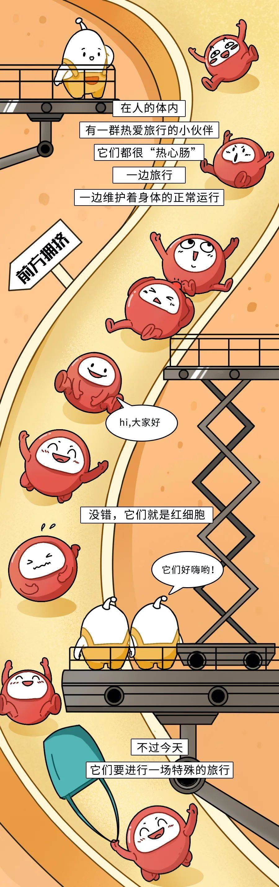 红细胞的奇妙旅行