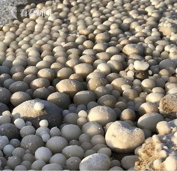 芬兰海岸线惊现大量"冰蛋"