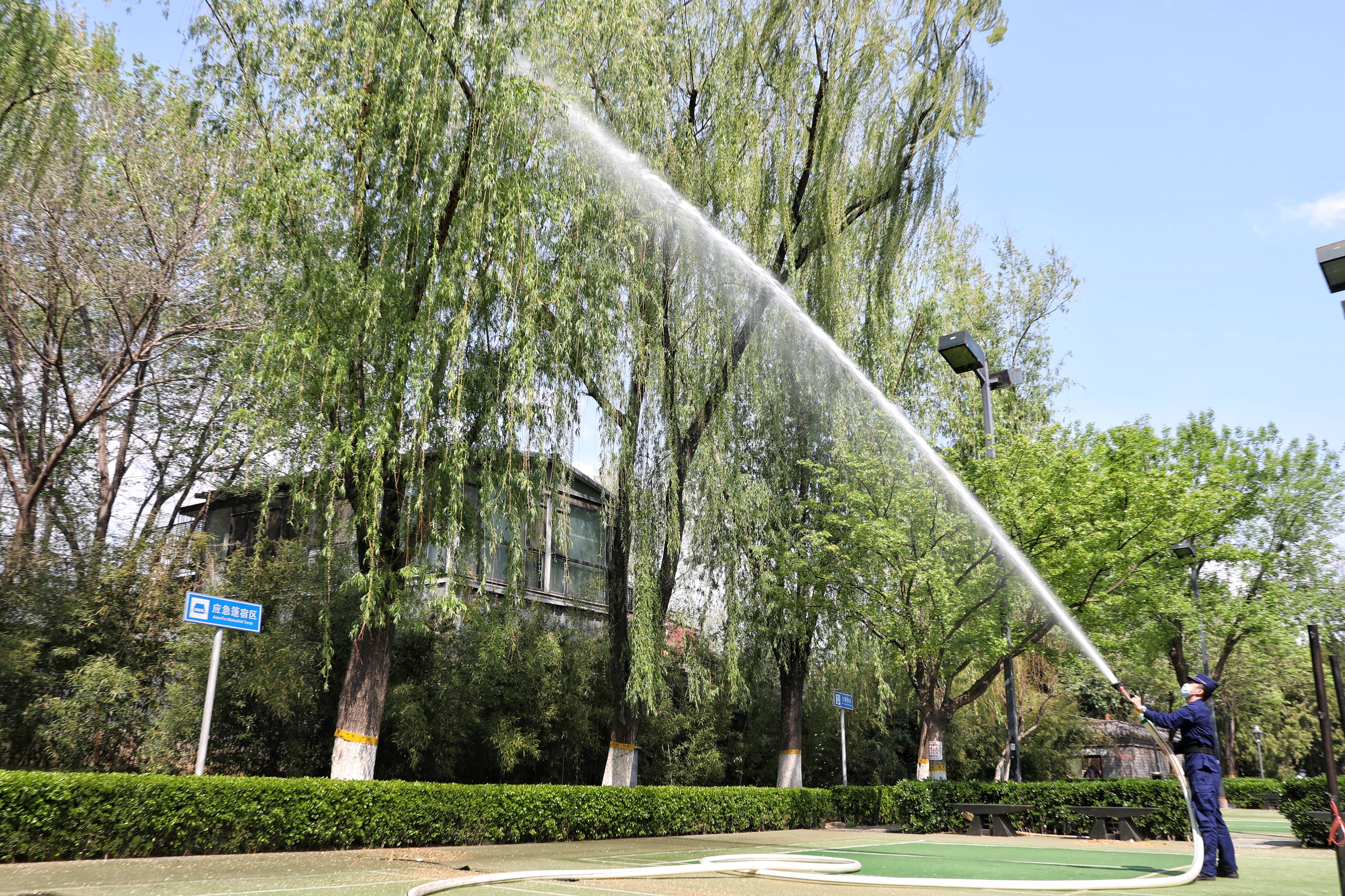 消防员用水枪湿化杨柳絮.新京报记者 王飞 摄