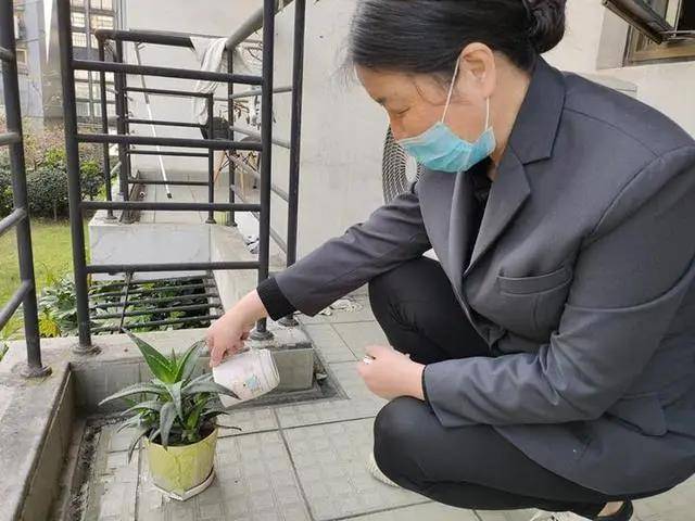 这项订单接了3000多!浙江一高校宿管阿姨的服务火了