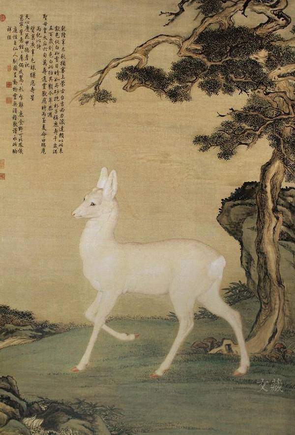 清 郎世宁 瑞狍图轴 绢本设色 台北故宫博物院藏.受访者供图