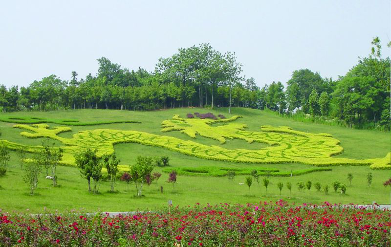 宜興龍背山森林公園