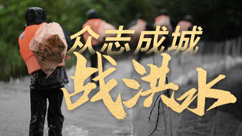 众志成城战洪水