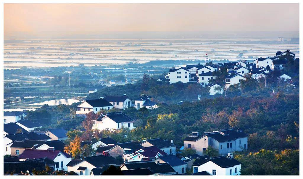 打卡网红小康村镇⑧61种青蛙叫响杨湾古村落乡村游富了太湖人家