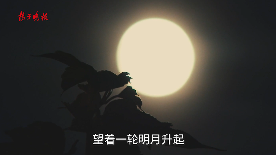 他跃入水中捞月,月亮被剖成了两半.