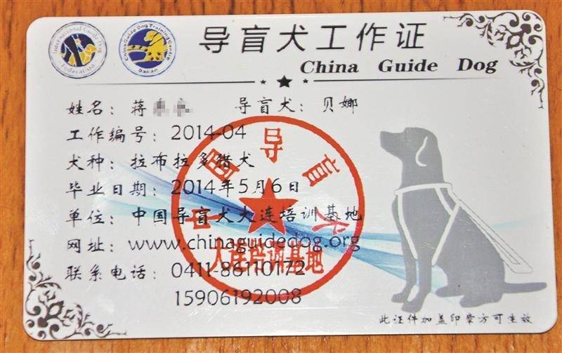 犬证上门办,省心又暖心!导盲犬"贝娜",上牌!