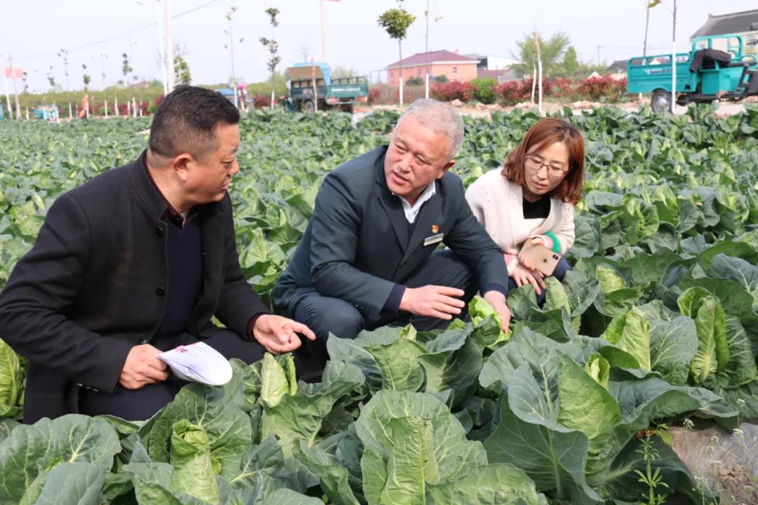 何建忠简历图片