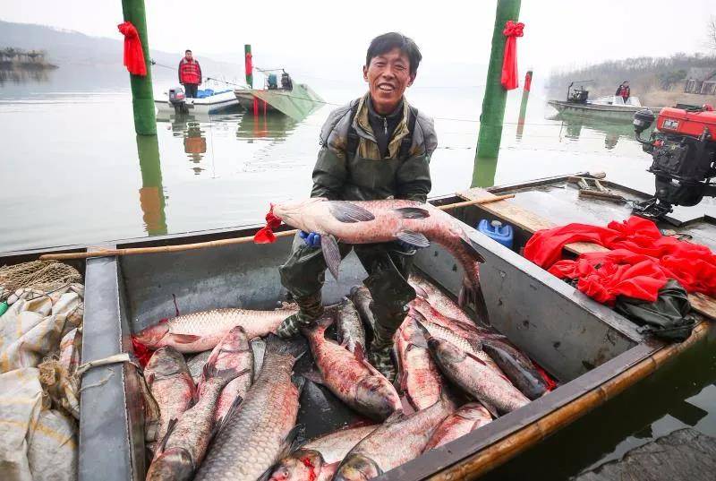 议事苑 | 人放天养,盱胎龙虾有了"姊妹"——生态水库鱼.