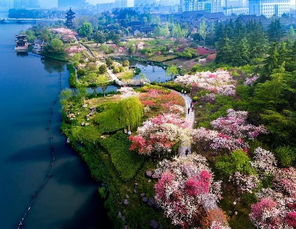 泰州凤城河风景区桃园一角 陈富平摄