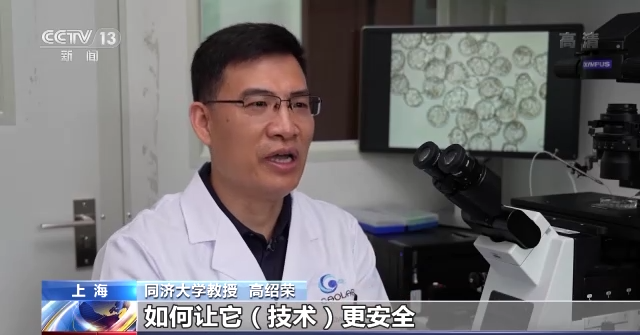 同济大学教授 高绍荣:我们这个研究也为将来试管婴儿,如何让它(技术)