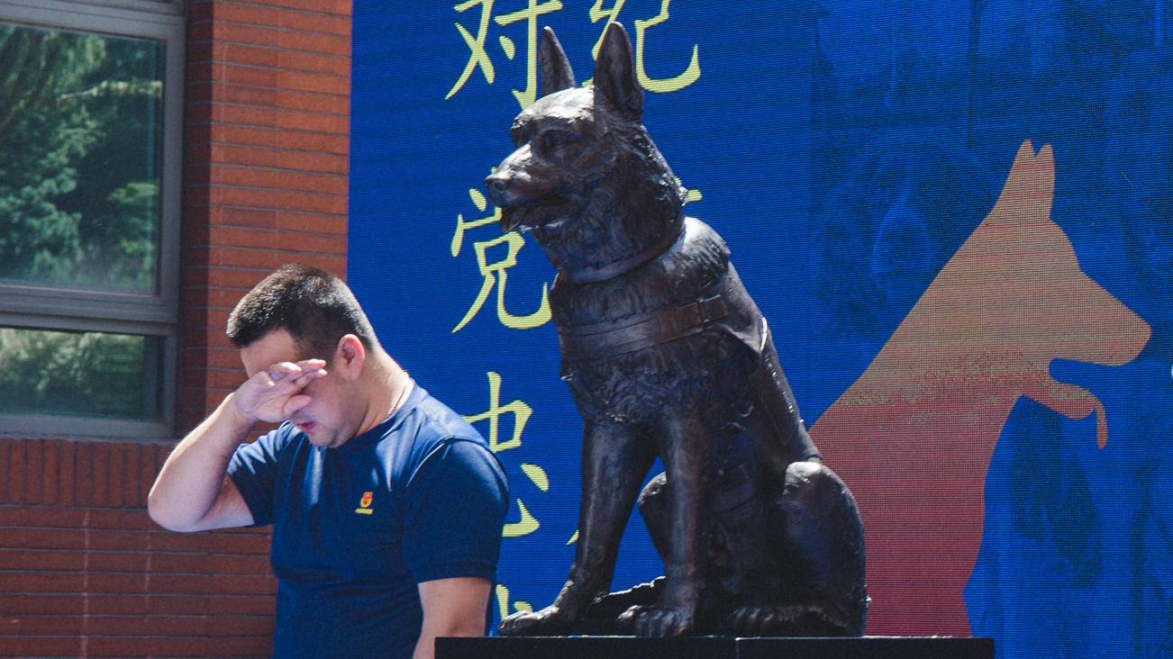 防灾减灾日消防退役训导员与搜救犬沈虎的重见