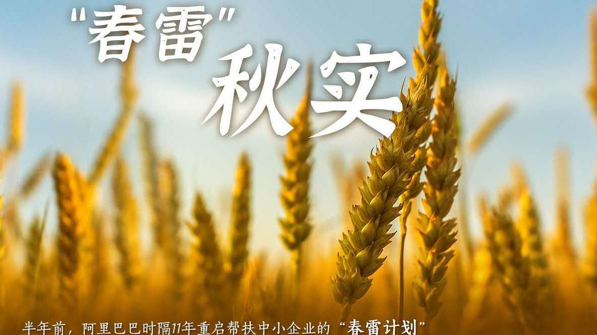 千余名客服火线入职深夜备战天猫双11 流水线24小时开工 不夜工厂点亮江苏