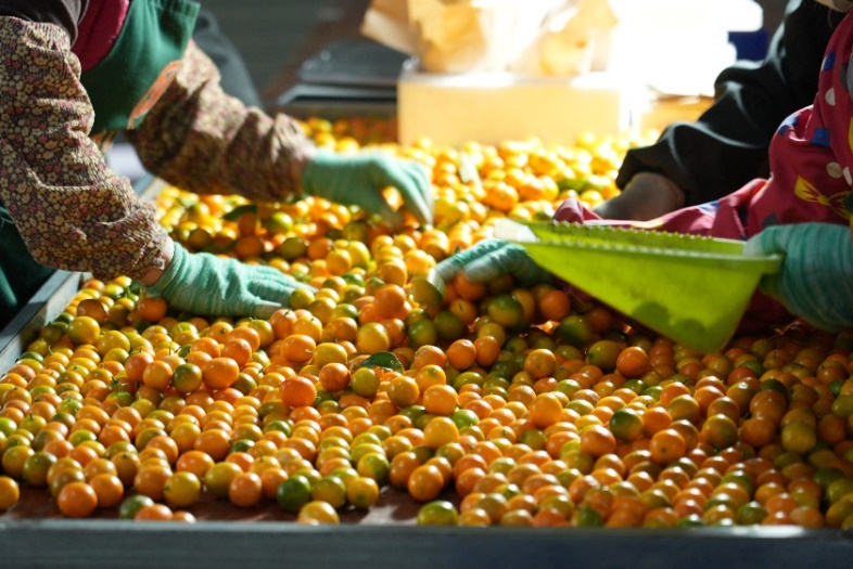 拼多多高质量发展战略再升级：成立&ldquo;商家权益保护委员会&rdquo;，深化新质供给