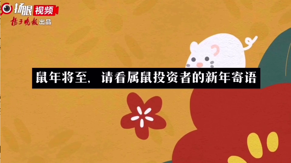 【原创视频】鼠年将至,你的2019投资成绩单