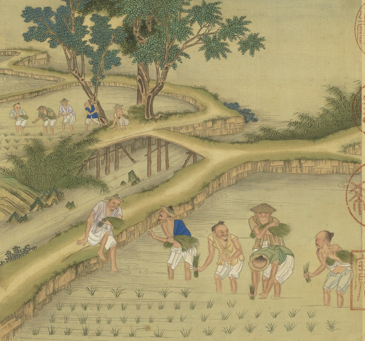 歲時(shí)樂(lè)事 ｜ 時(shí)雨及芒種，四野皆插秧