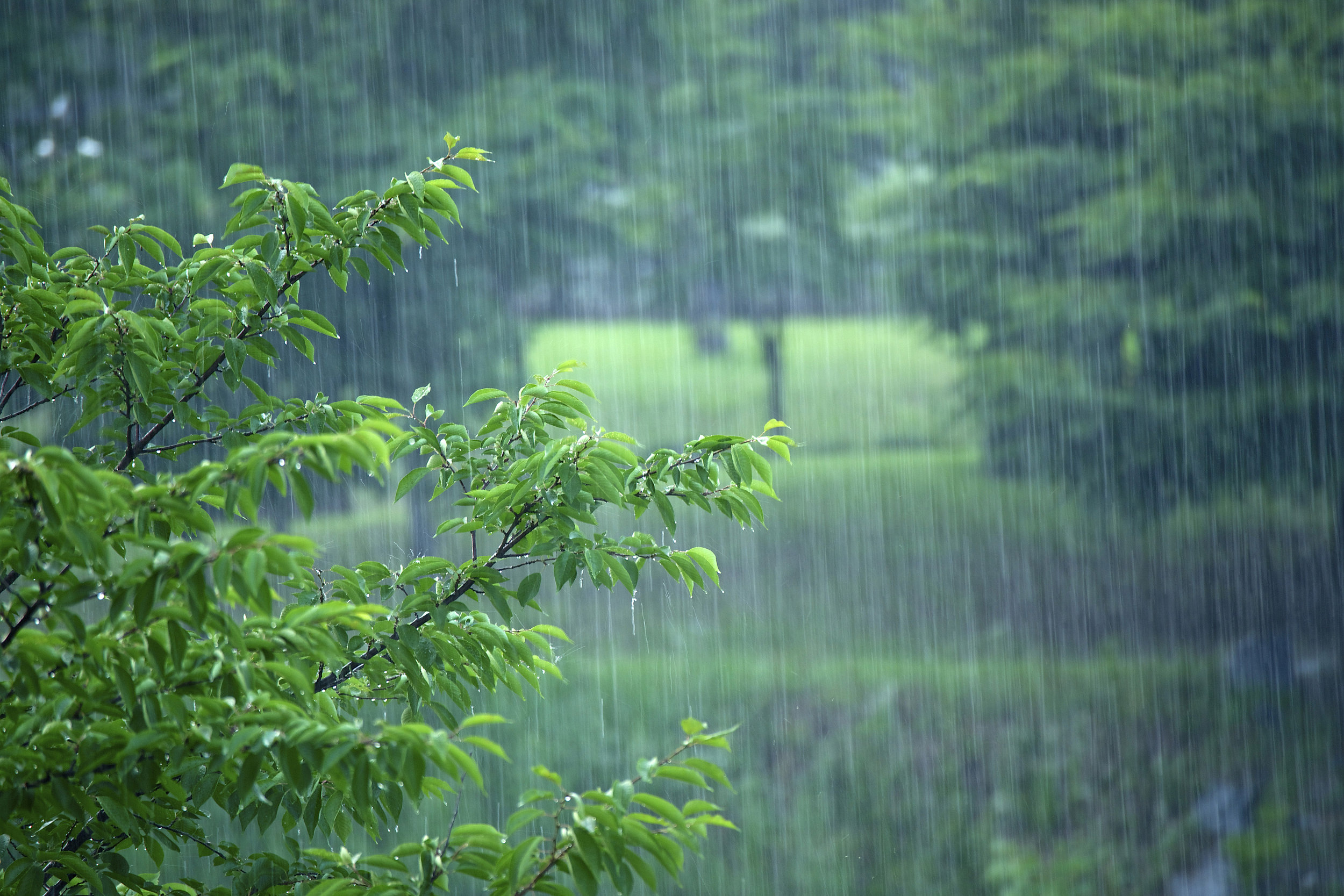 四点妙招 中医教你梅雨季节怎么过