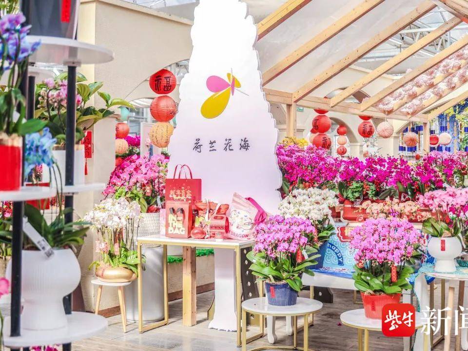 
                        4:3图片