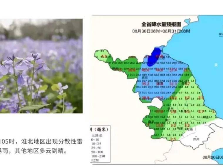 
                        4:3图片