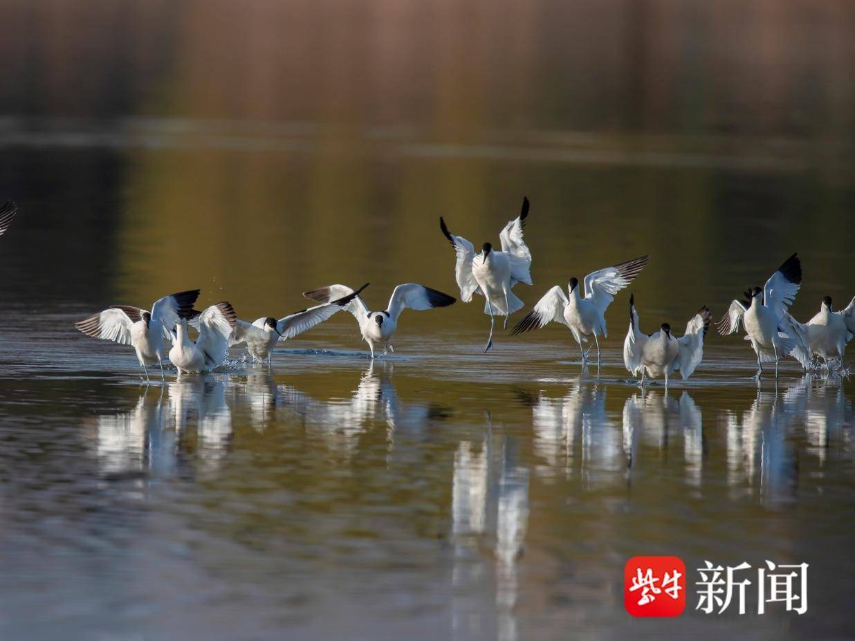 
                        4:3图片