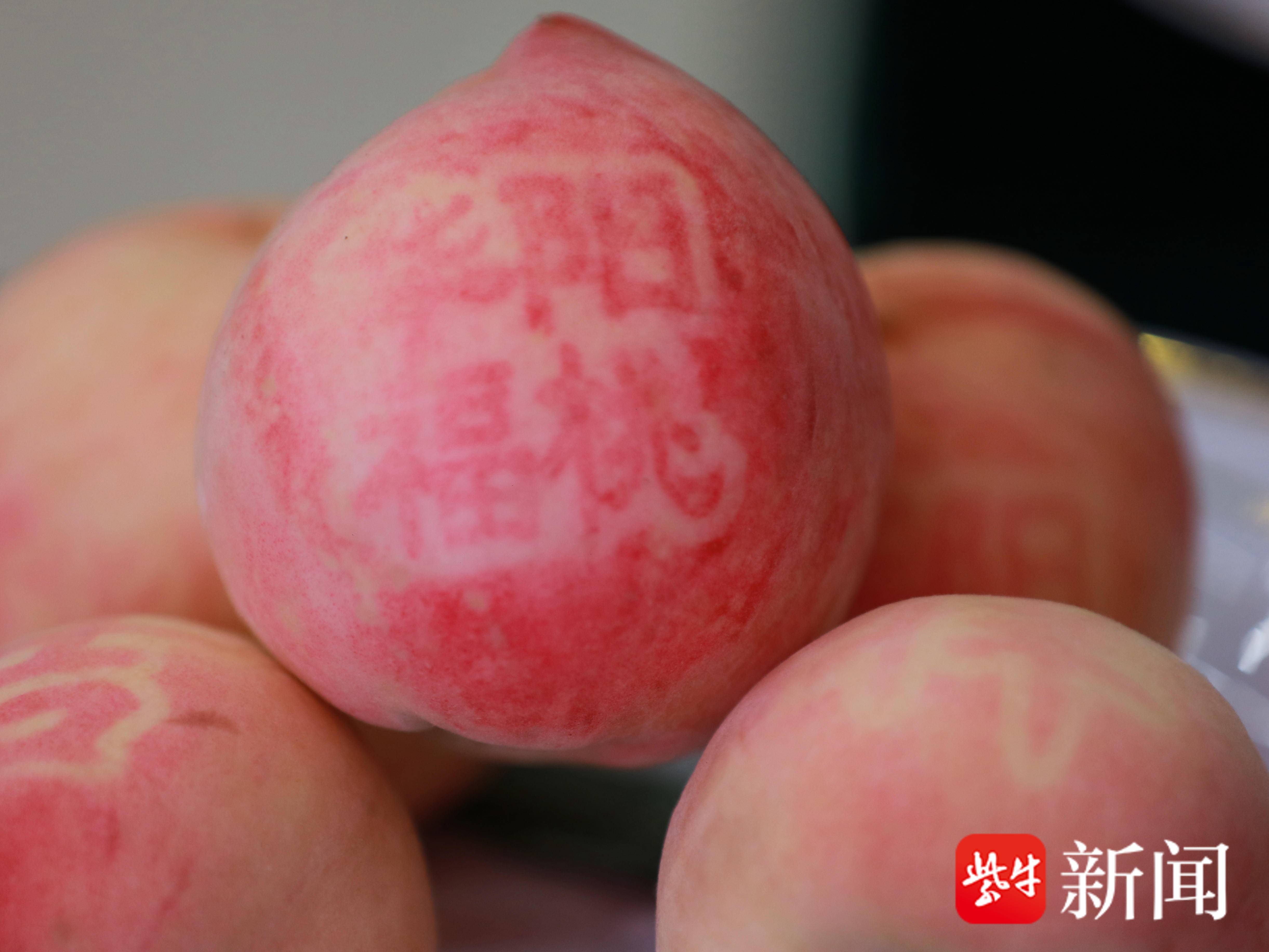 
                        4:3图片