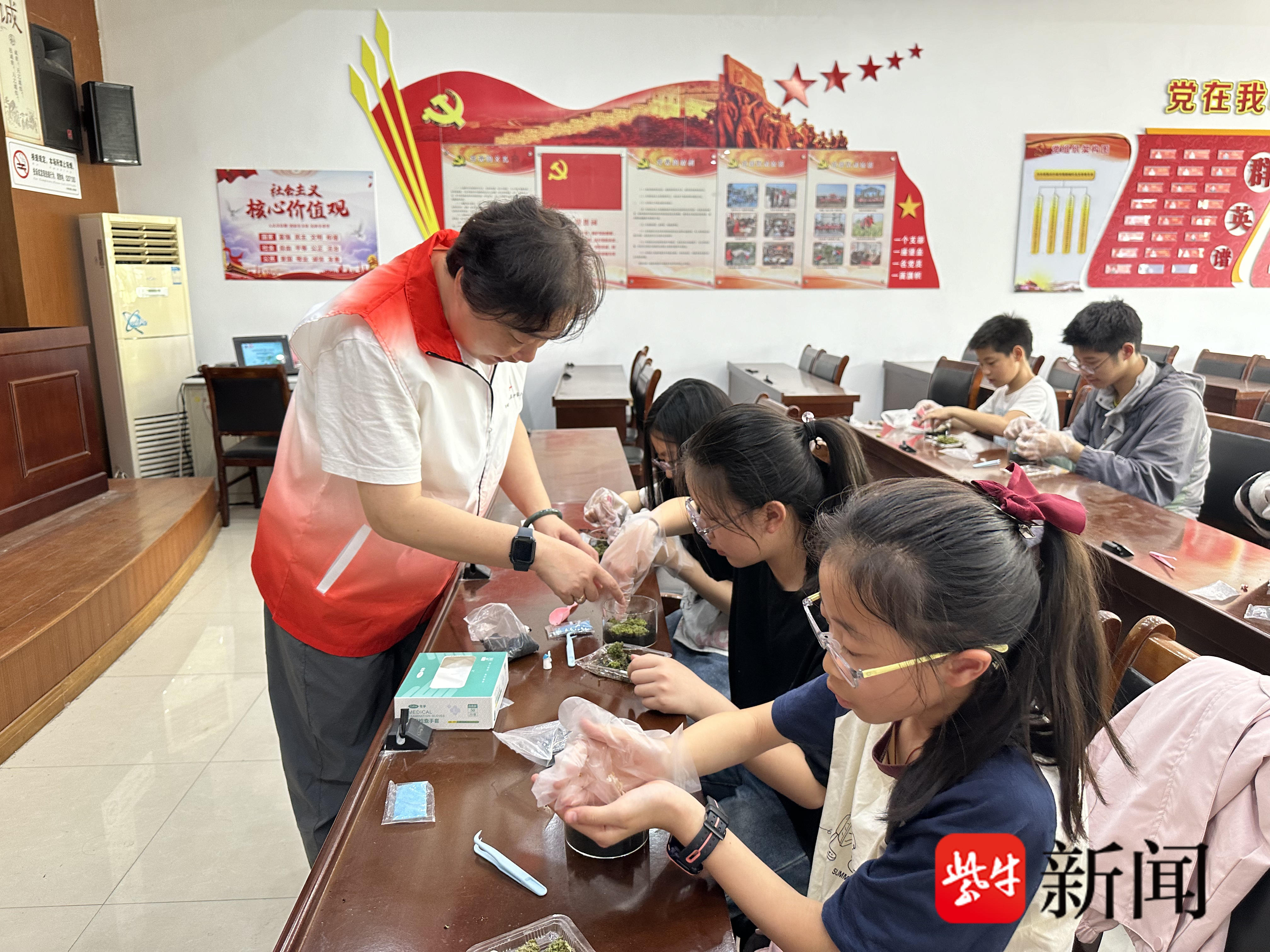 
                        4:3图片