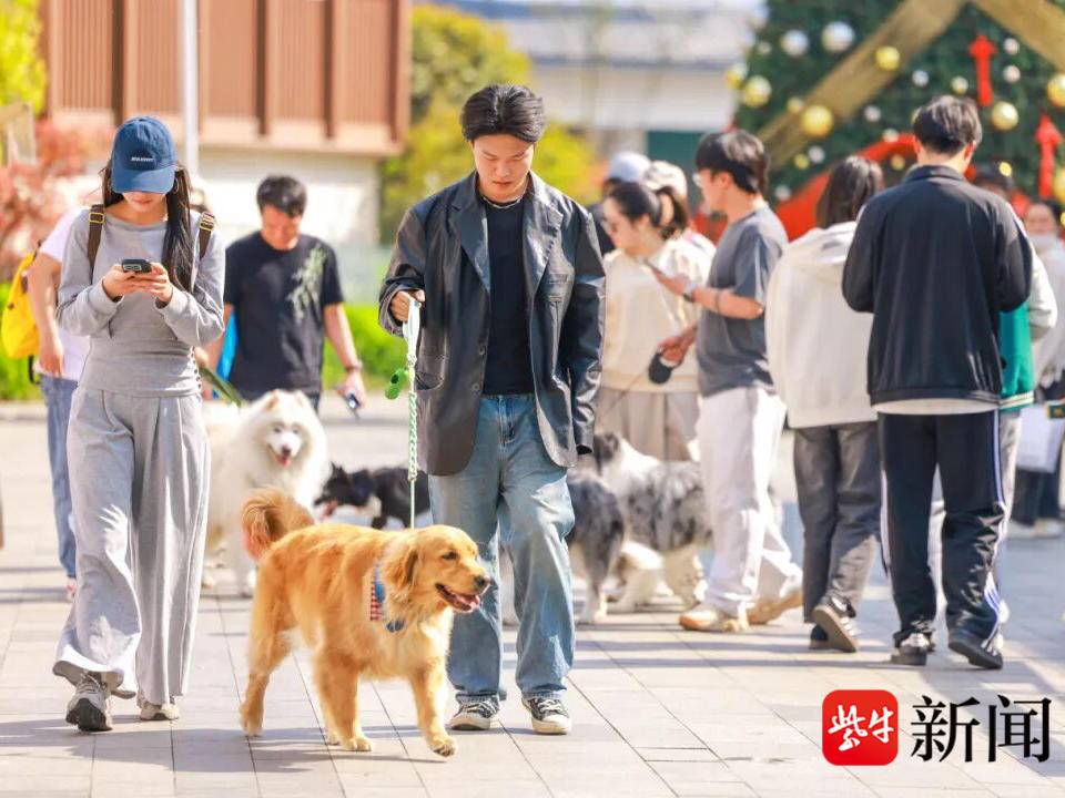 
                        4:3图片