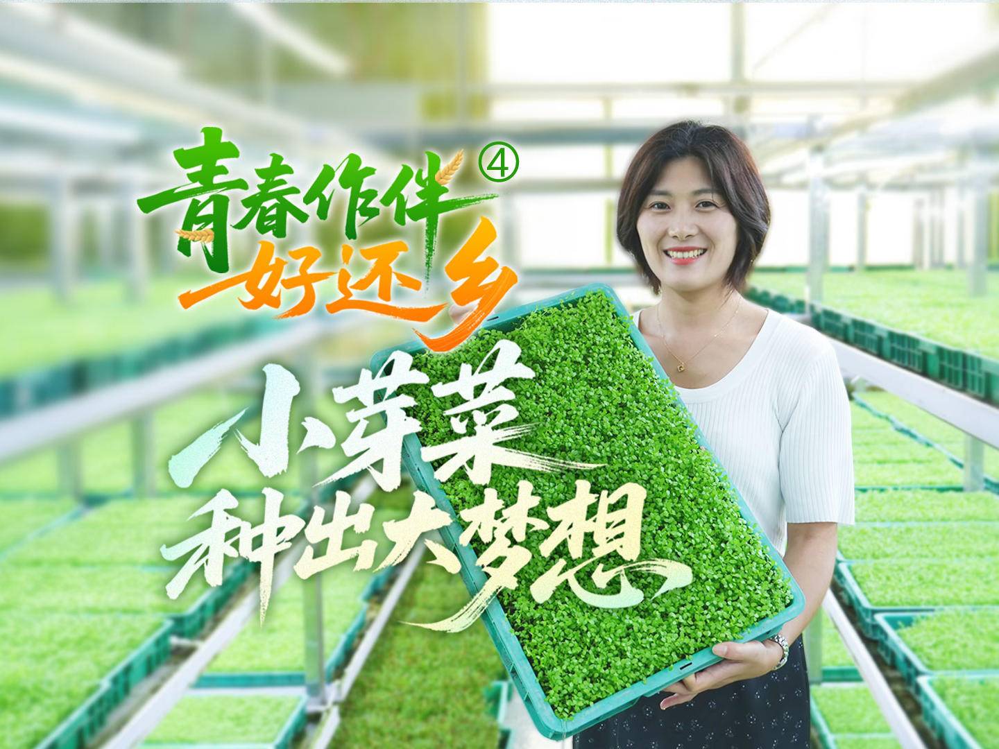 
                        4:3图片