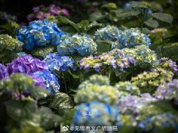 
                        4:3图片