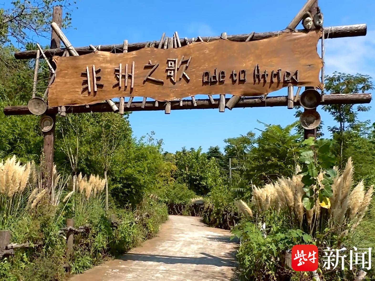 
                        4:3图片