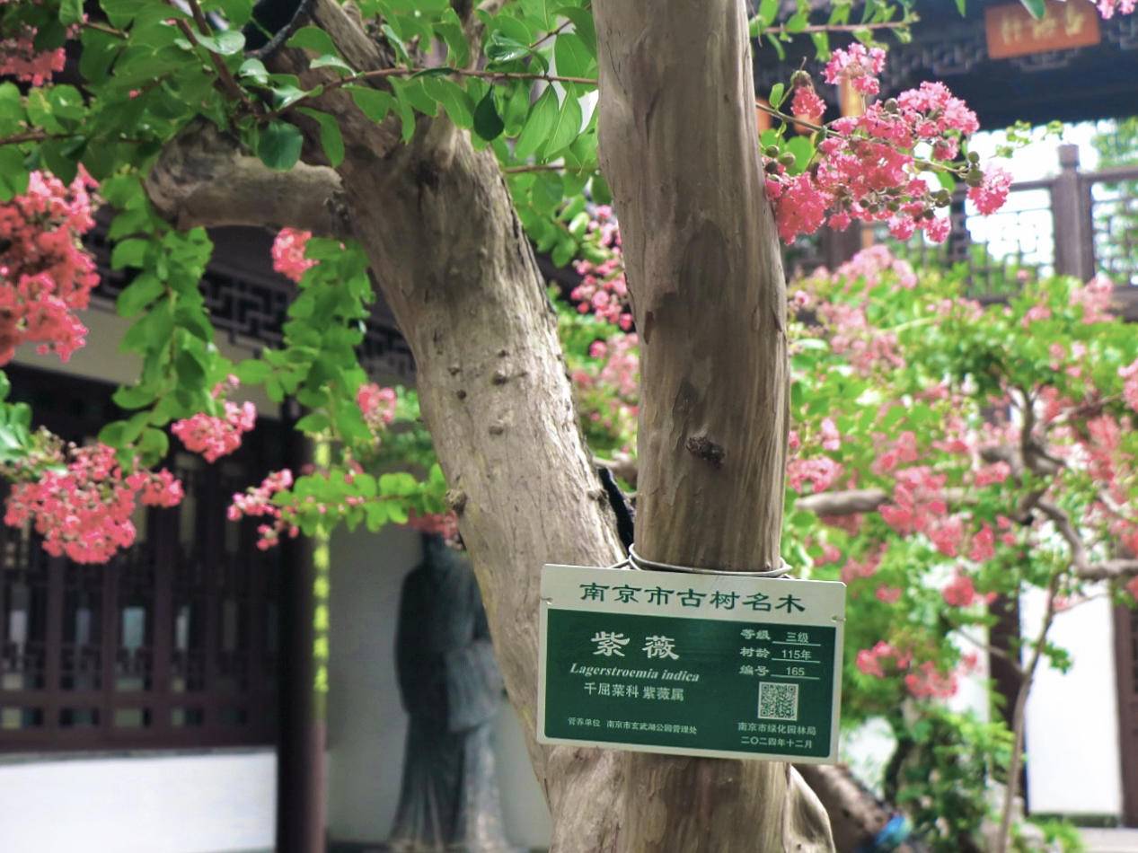 
                        4:3图片