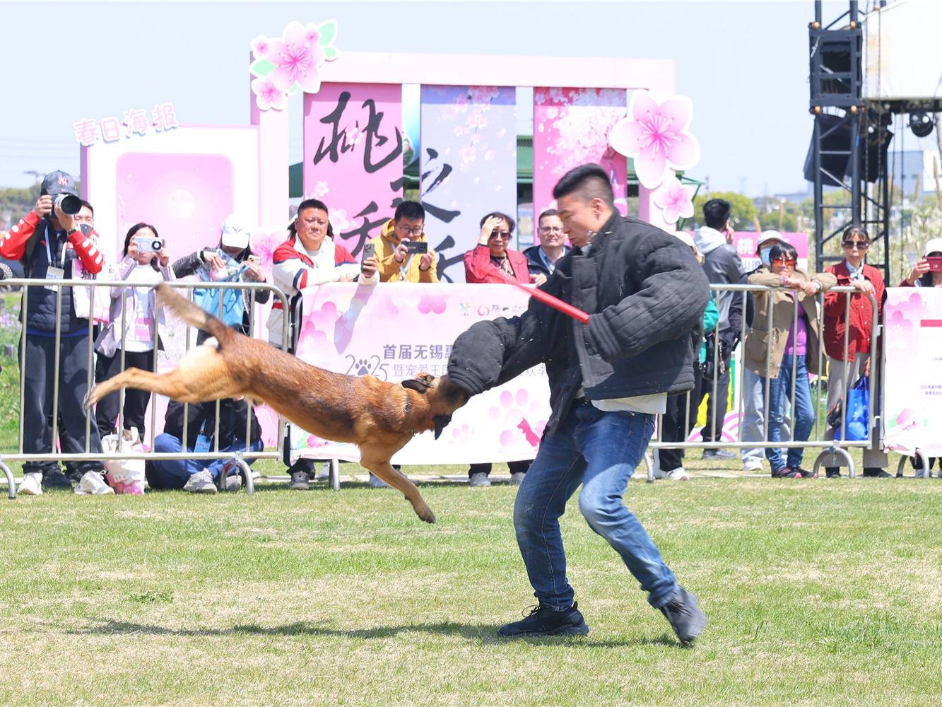 
                        4:3图片