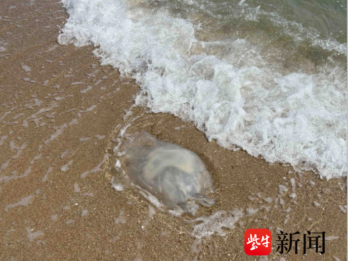 
                        4:3图片