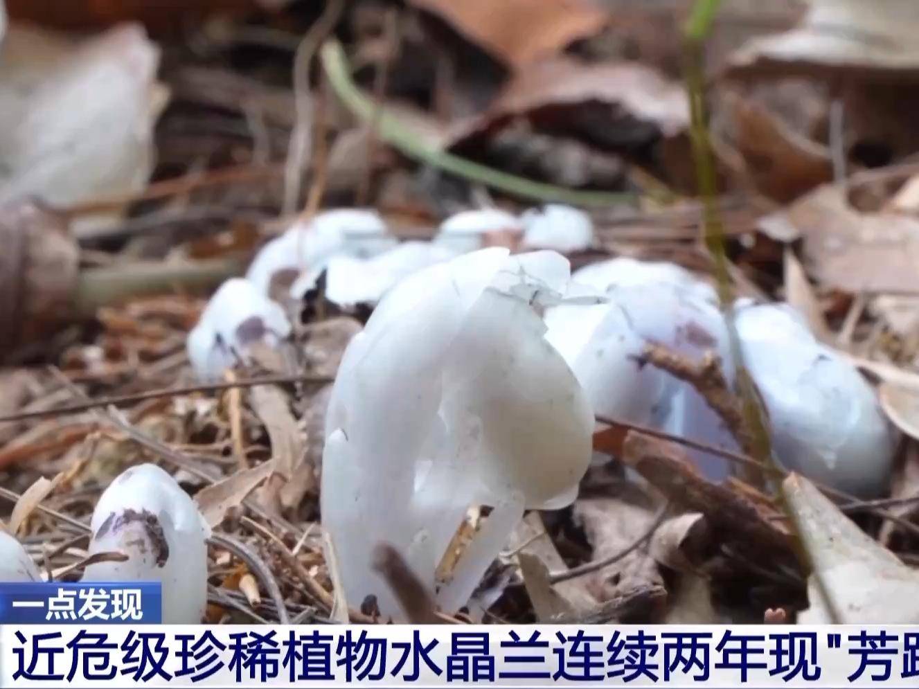 
                        4:3图片