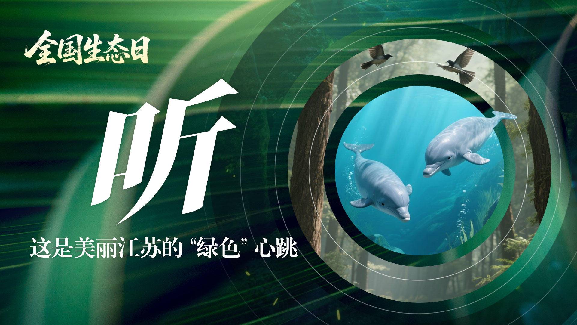 
                        16:9图片