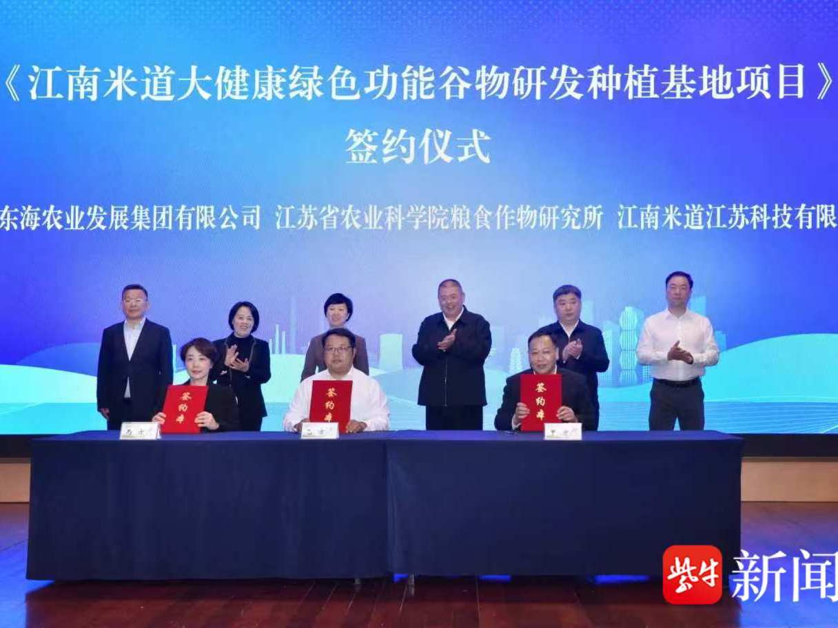 
                        4:3图片