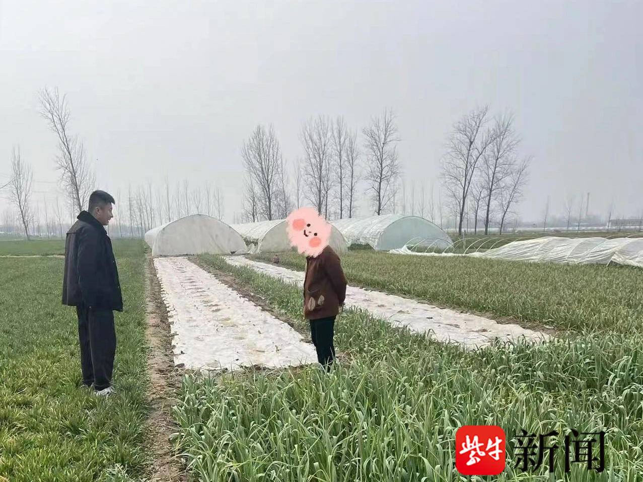 
                        4:3图片