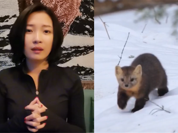 顾雪飞,费东斌任河南省副省长