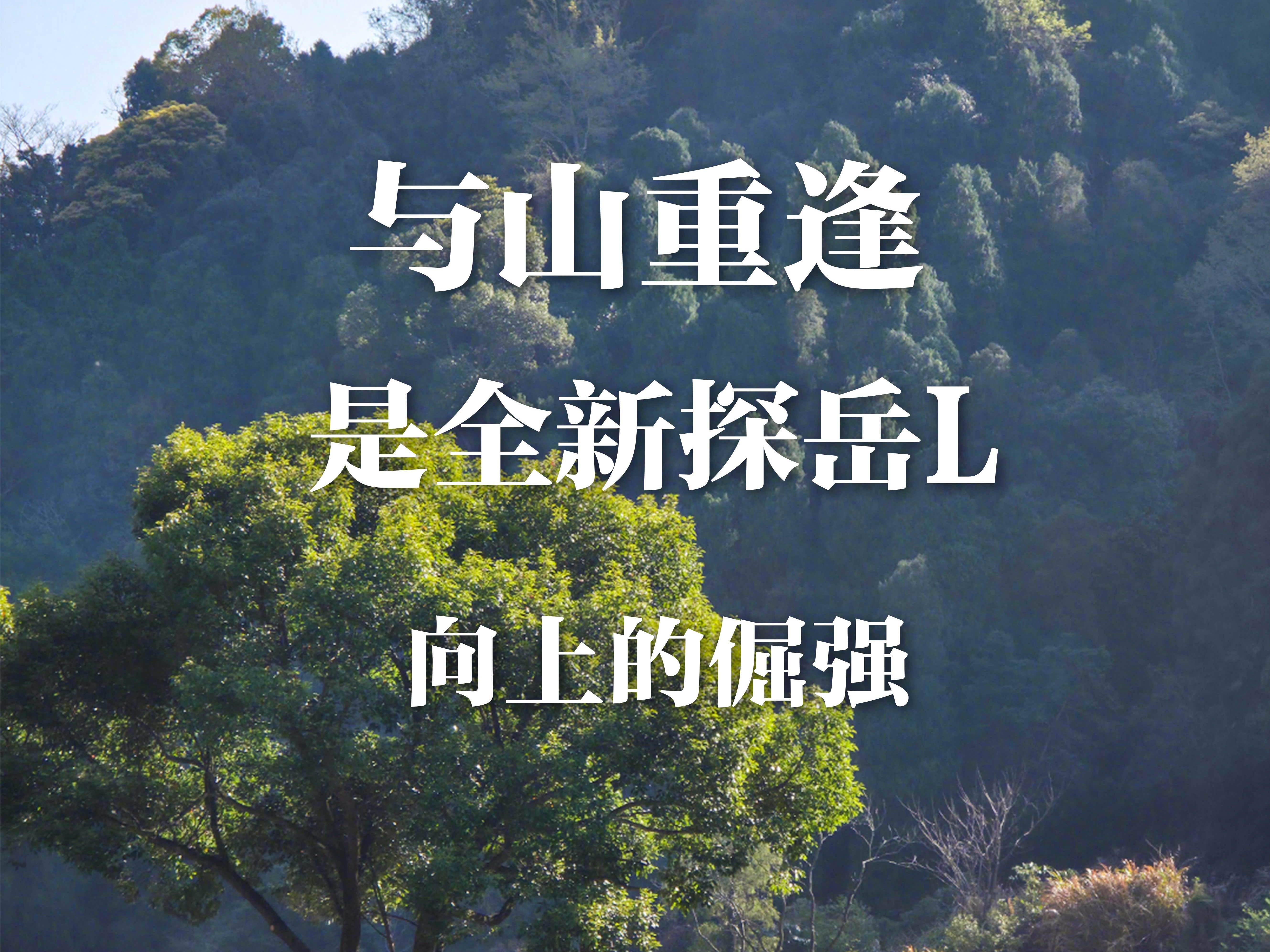 
                        4:3图片